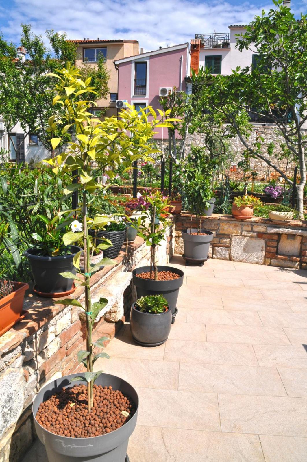 Apartment Delight City Rovinj Buitenkant foto